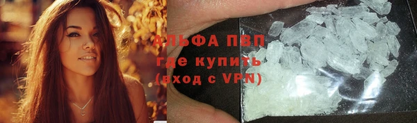 mdpv Богородицк