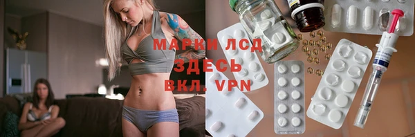 mdpv Богородицк