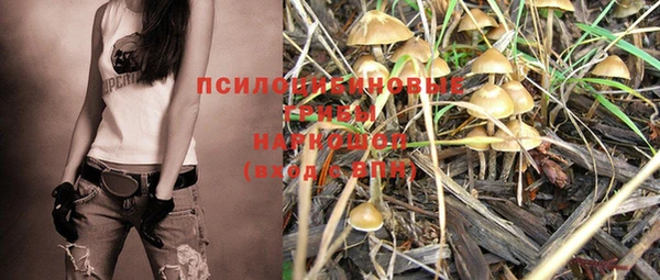 дурь Богданович