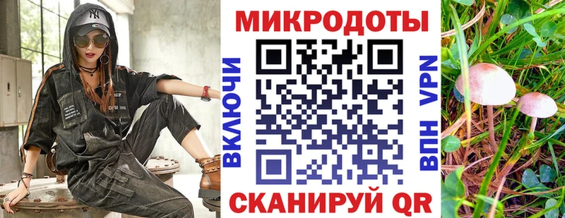 где купить   Челябинск  Галлюциногенные грибы ЛСД 
